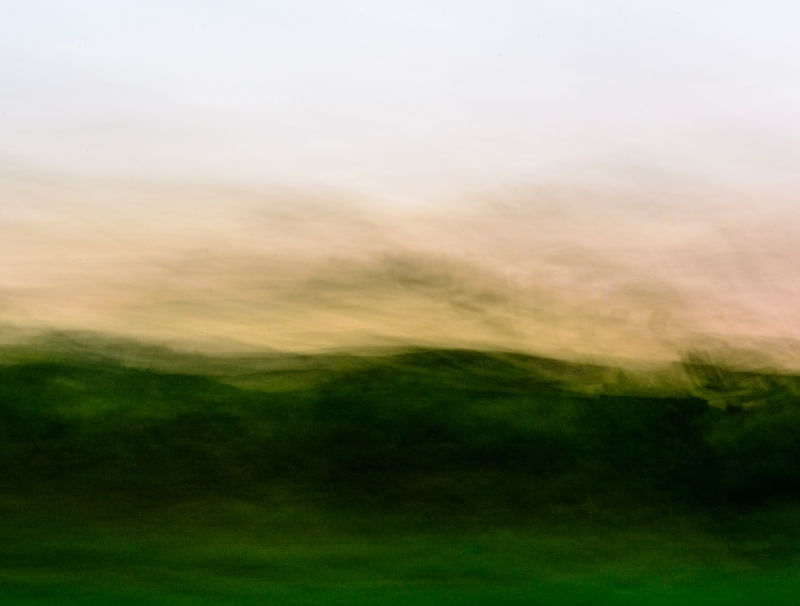 PAISAGEM MÓVEL VEGETAÇÃO