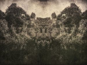 MATRIX TREE