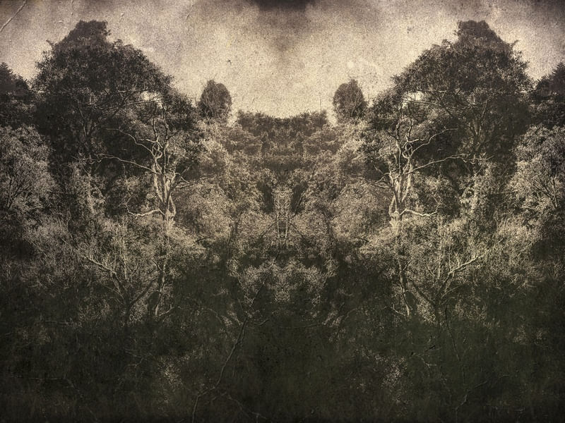 MATRIX TREE