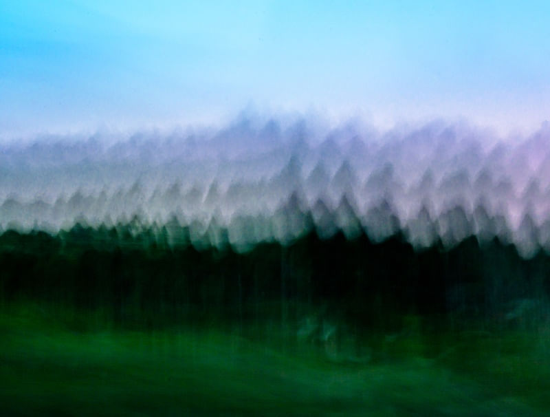 PAISAGEM MÓVEL ÁRVORES
