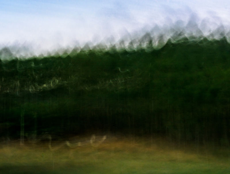 PAISAGEM MÓVEL ÁRVORES 2