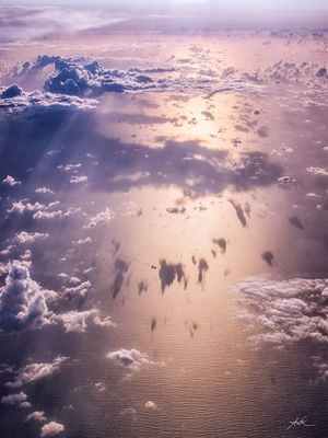 BIRD'S VIEW