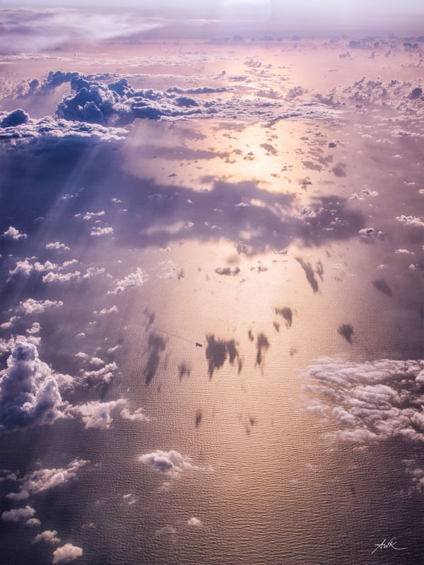 BIRD'S VIEW