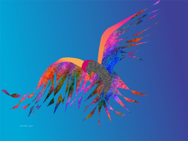 UCCELLO