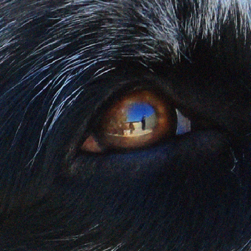 REFLEXO NO OLHAR 1