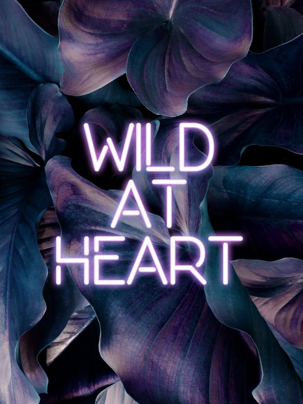 WILD AT HEART NEON
