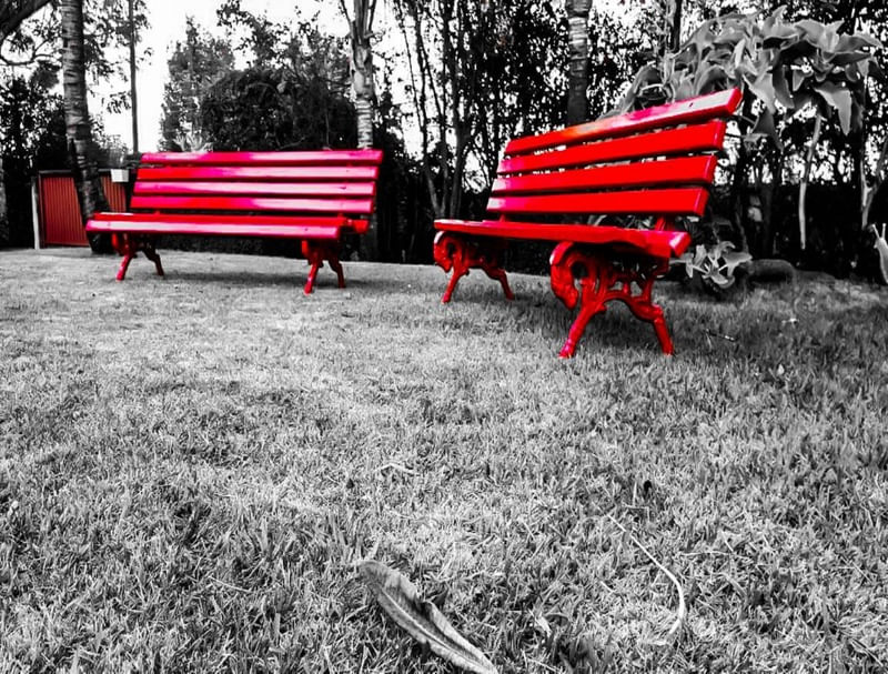 PEACE OR SOLITUDE?