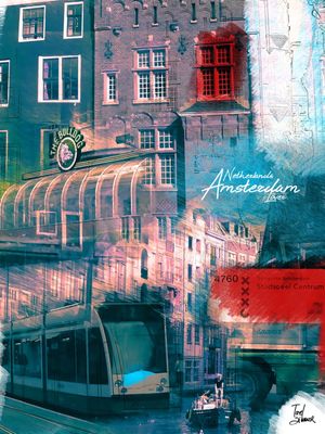 AMSTERDAM LOVER