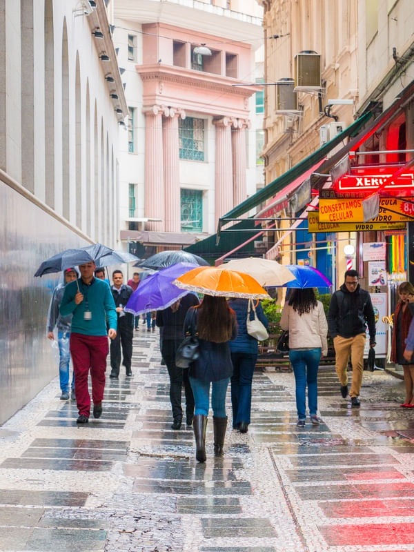 SOH CHOVE