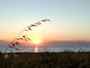 RAMO E PÔR DO SOL