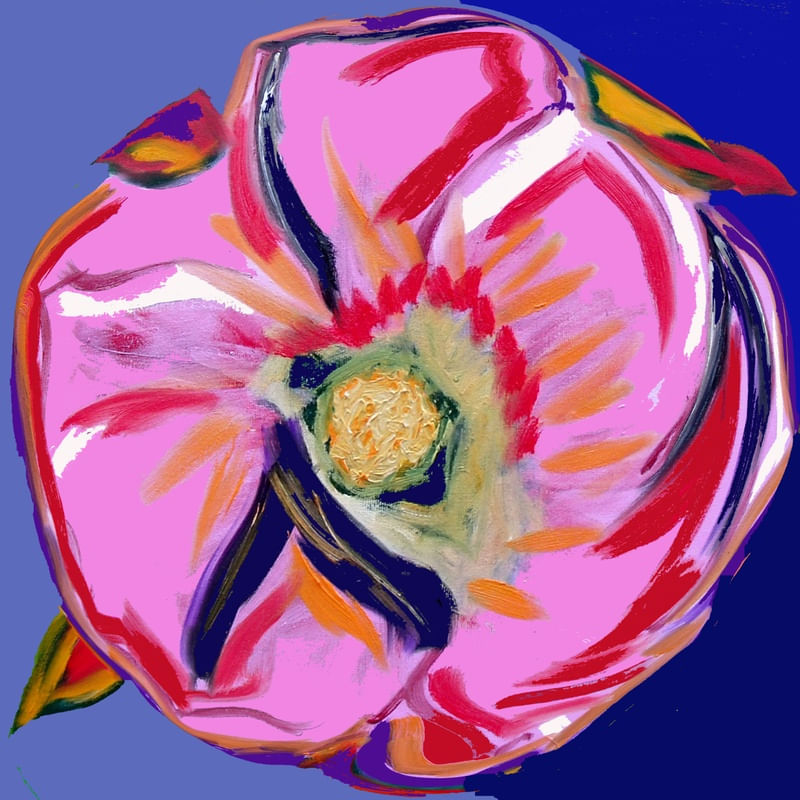 HIBISCO I.A