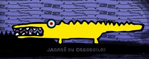 JACARÉ OU CROCODILO?
