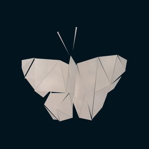 BUTTERFLY BW