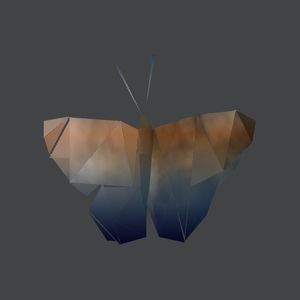 BUTTERFLY DEGRADÊ