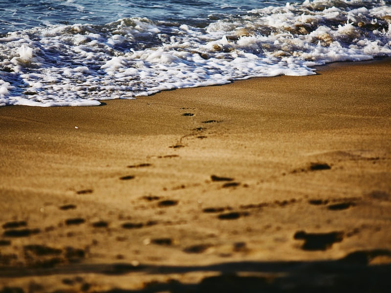 PASSOS AO MAR