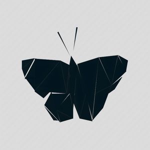 BUTTERFLY WB