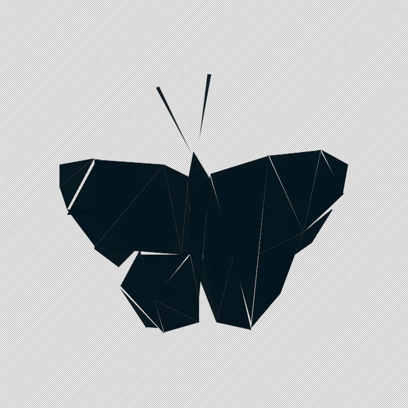 BUTTERFLY WB