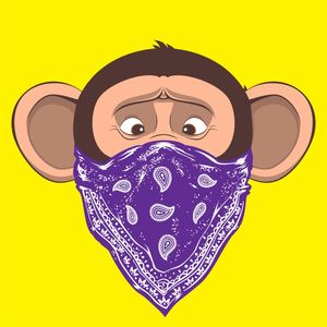 MACACO SÁBIO IWAZARU