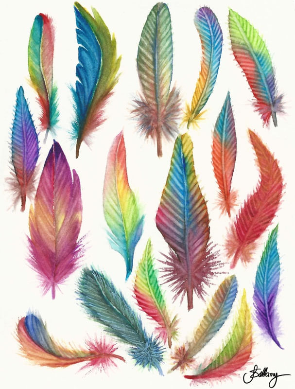 FEATHER WATERCOLOR