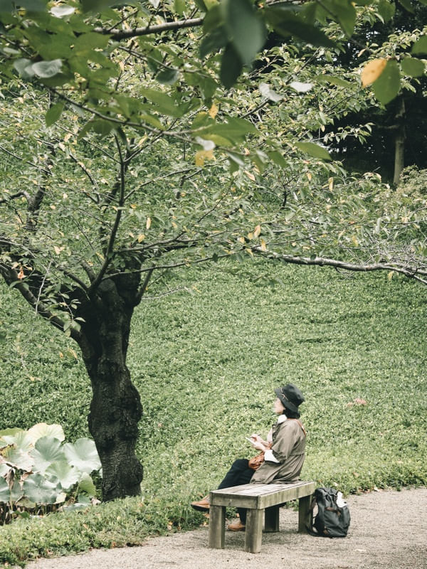 TOKYO TREE DRAWING
