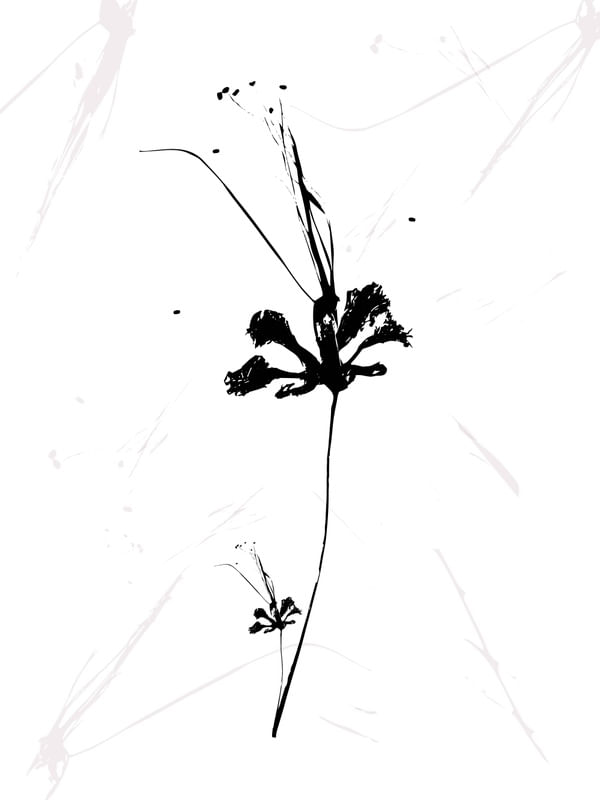 GRAVURA FLOR PRETA