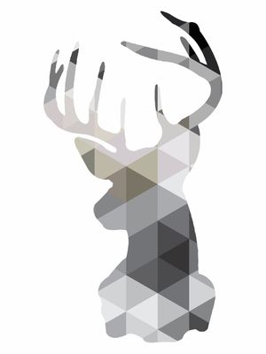 ABSTRACT DEER FRONT