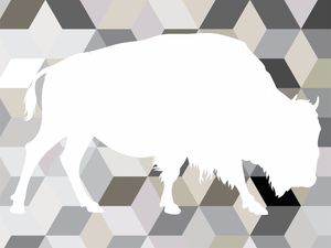 ABSTRACT BISON BACK