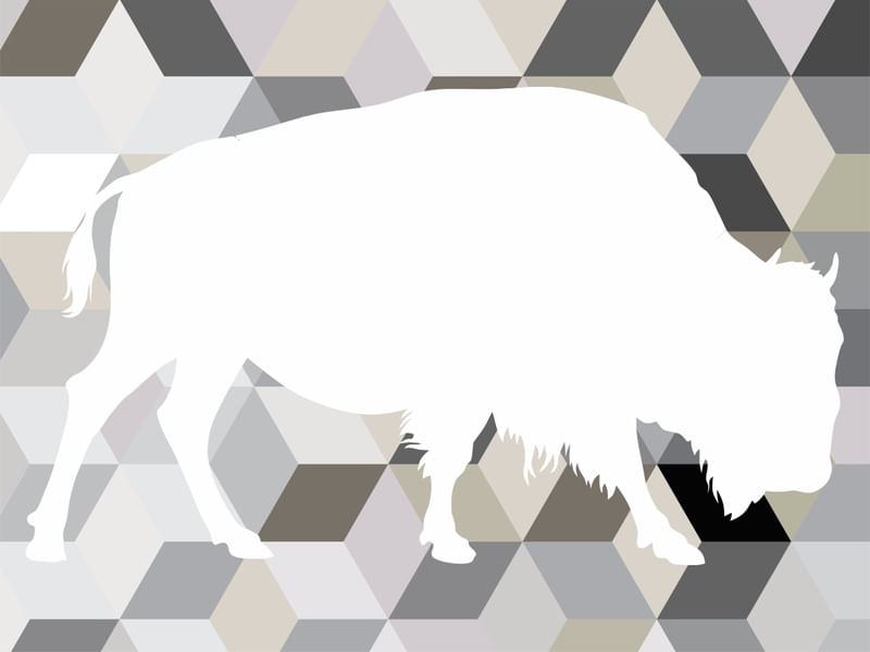 ABSTRACT BISON BACK