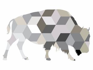 ABSTRACT BISON FRONT