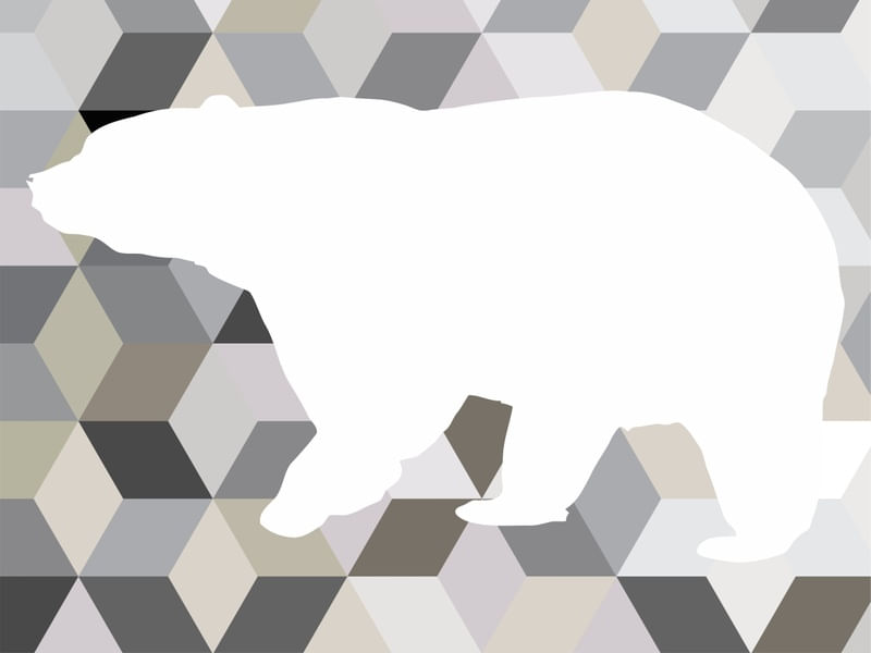 ABSTRACT BEAR BACK
