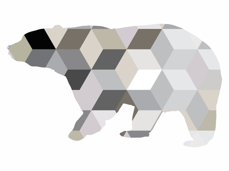 ABSTRACT BEAR FRONT