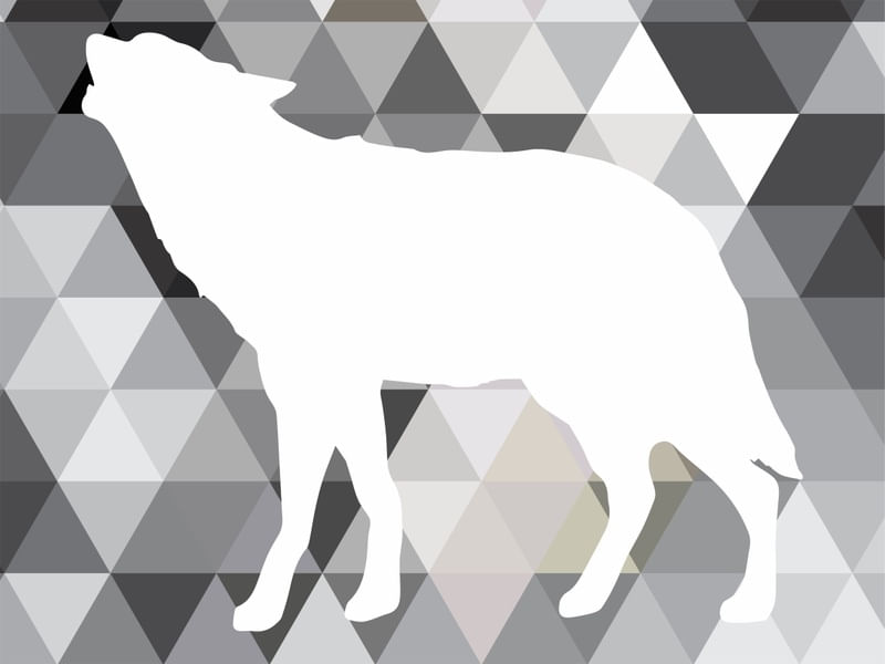 ABSTRACT WOLF BACK