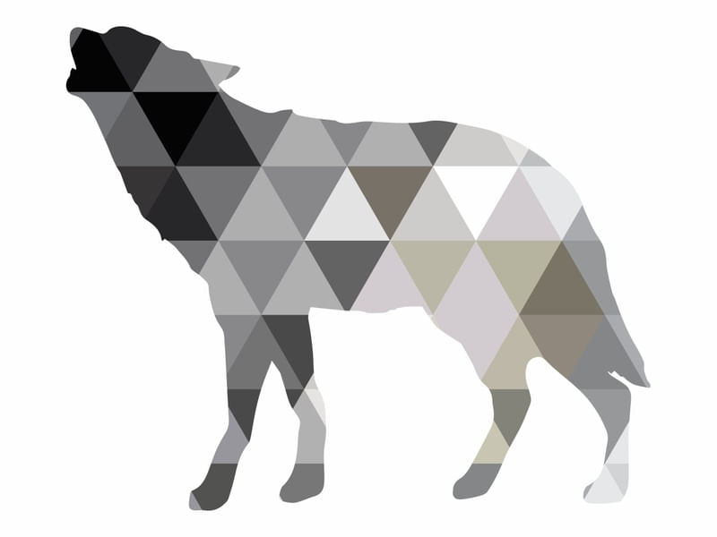 ABSTRACT WOLF FRONT