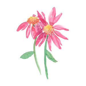 FLOR AQUARELA 02