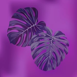VIOLET TROPICAL 3
