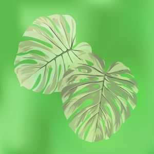 VERDE TROPICAL 2