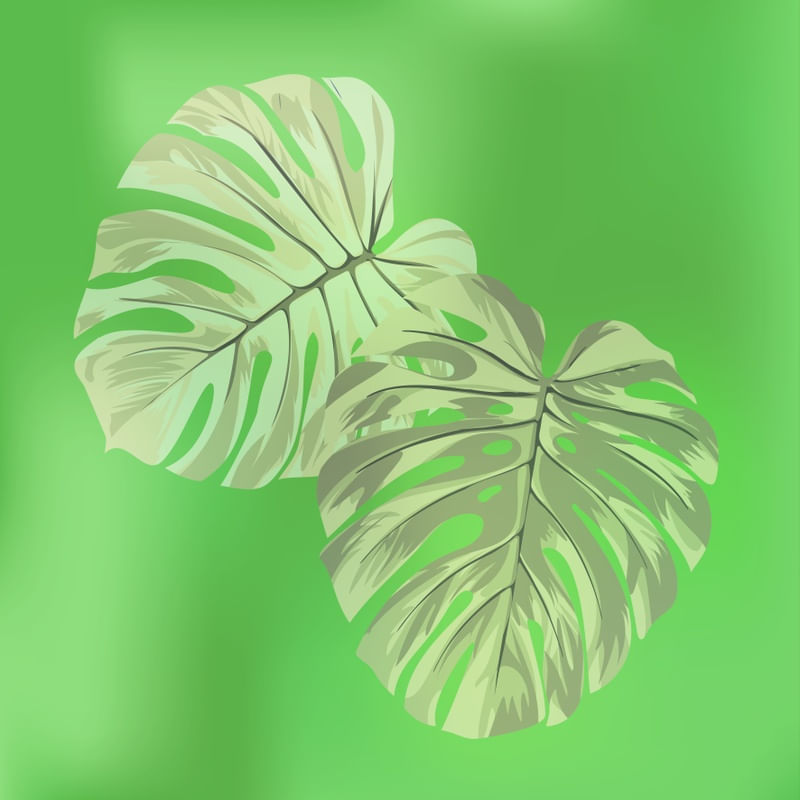 VERDE TROPICAL 2