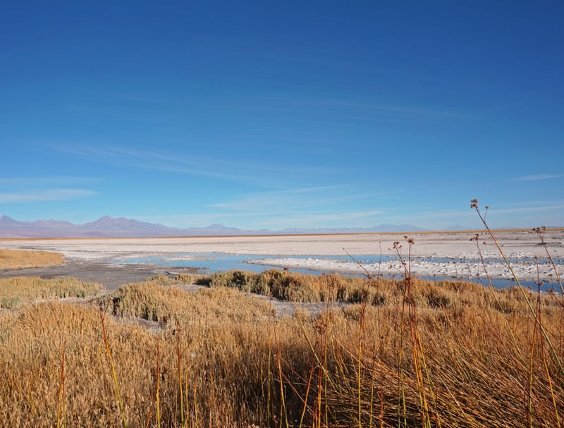 ATACAMA AZUL