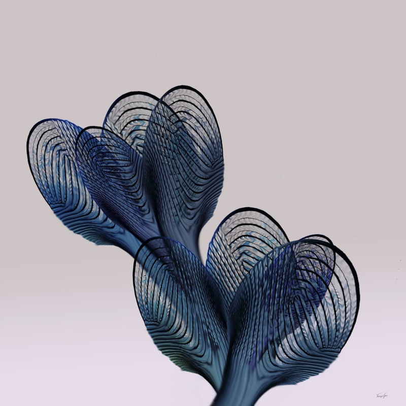 BLUE PLANTS