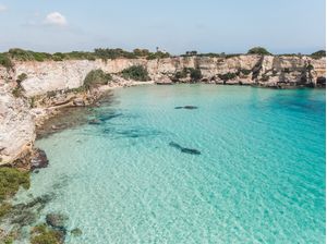 MAR ADRIÁTICO - CALA MARITIMA