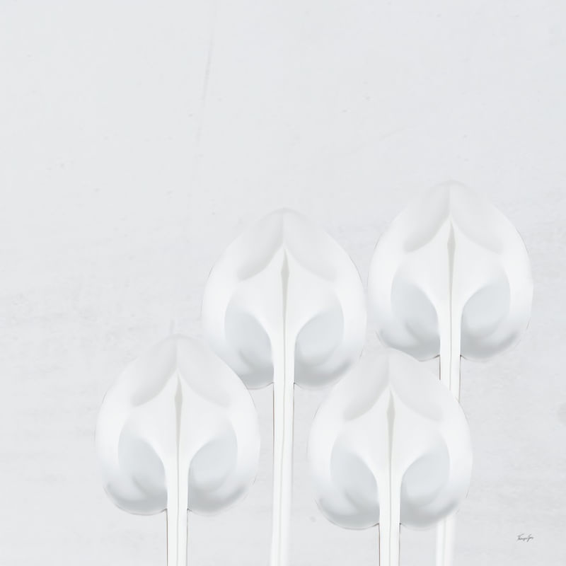 FLORES DE GESSO