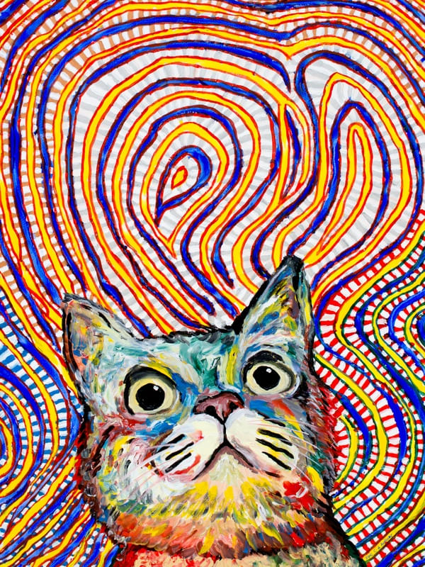 CAT MEOW LSD