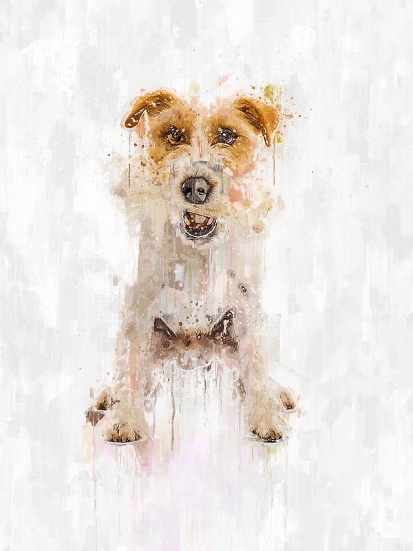 CACHORRO EM TINTA