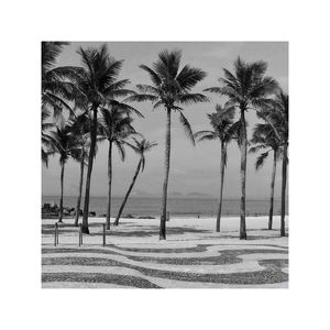 DA SÉRIE: PRAIA 40° - COQUEIROS DE COPACABANA PB 105