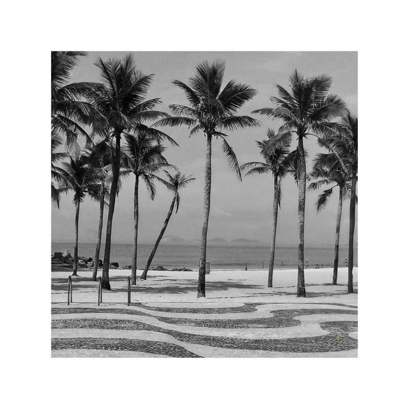 DA SÉRIE: PRAIA 40° - COQUEIROS DE COPACABANA PB 105