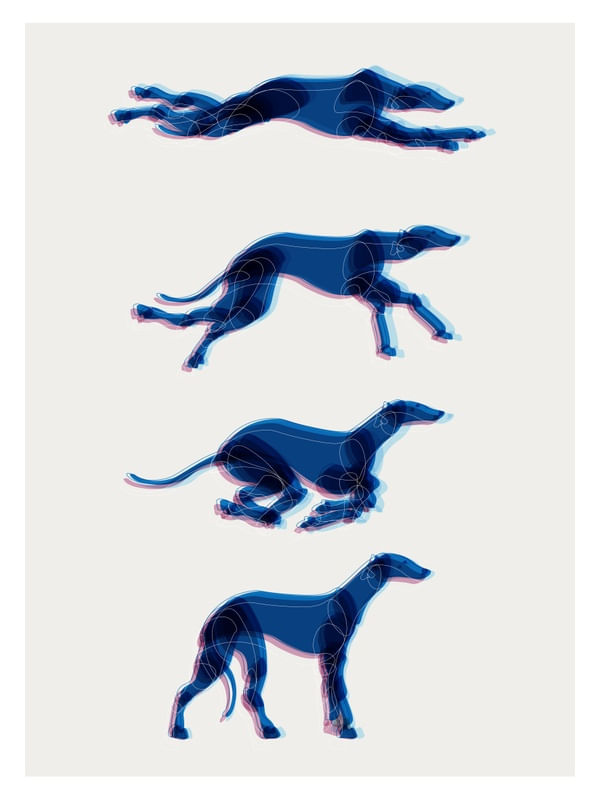 GALGOS <3