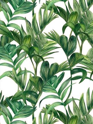 TROPICAL LEAVES