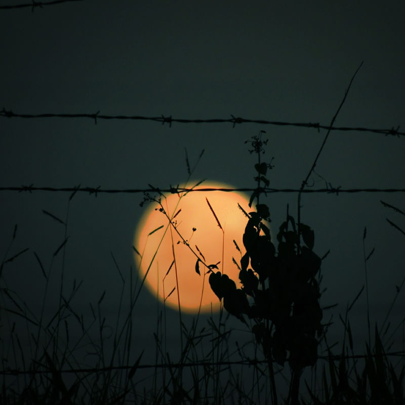LUA E CERCA