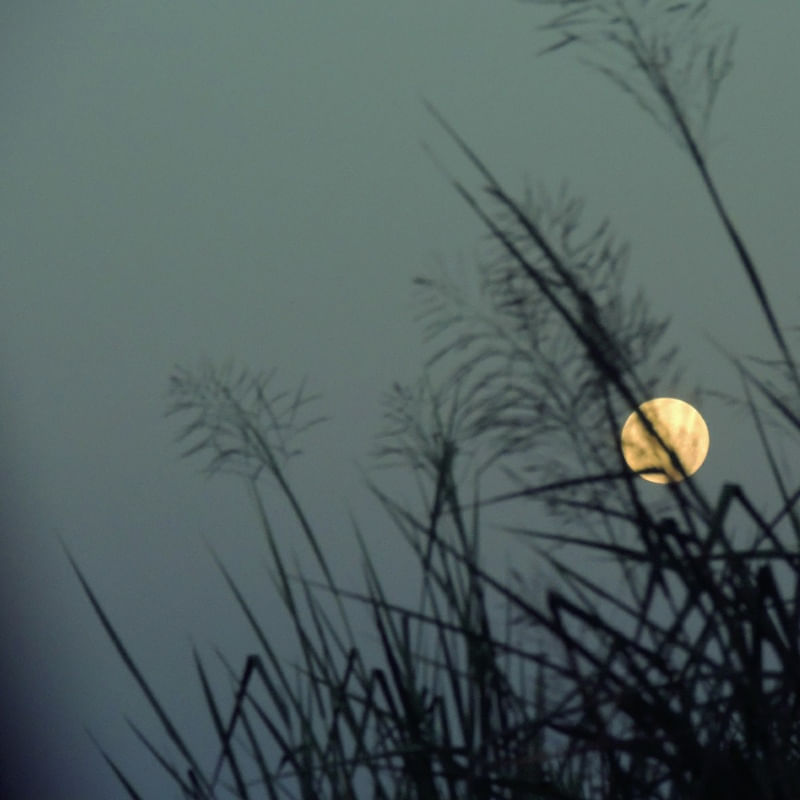 LUA NO CAMPO