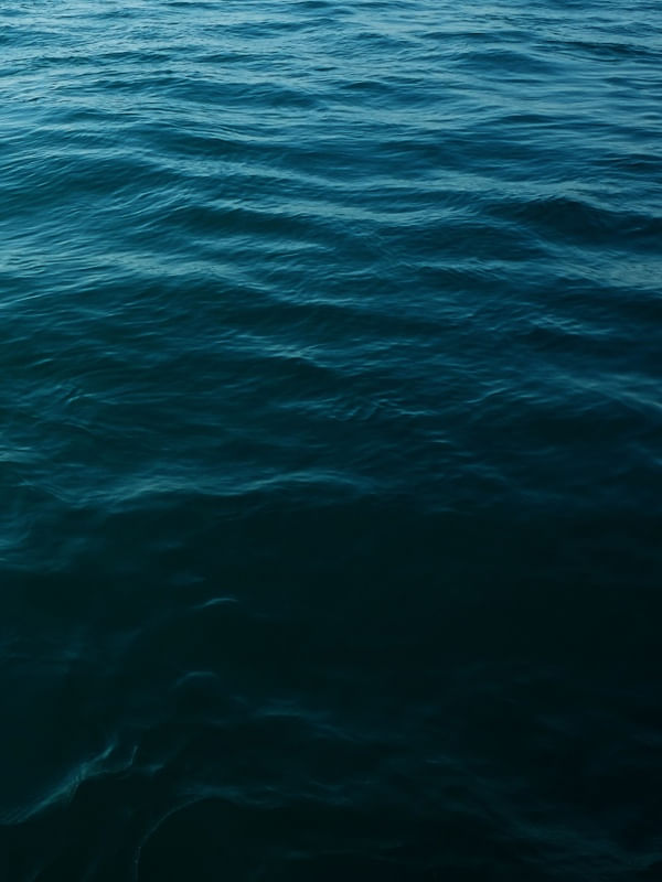 MAR E MAR